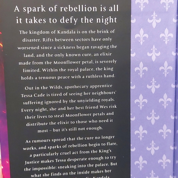 (Special Edition) Fairyloot: Defy the Night by Brigid Kemmerer, Book 1 & 2 - Picture 3 of 7